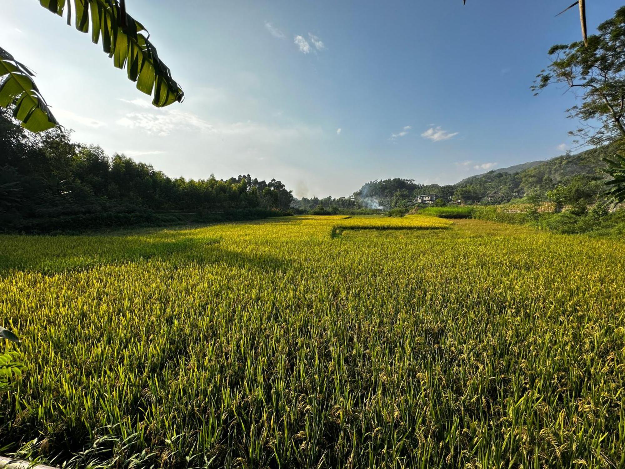 Vulinh Family -Homestay Yen Binh Exterior photo