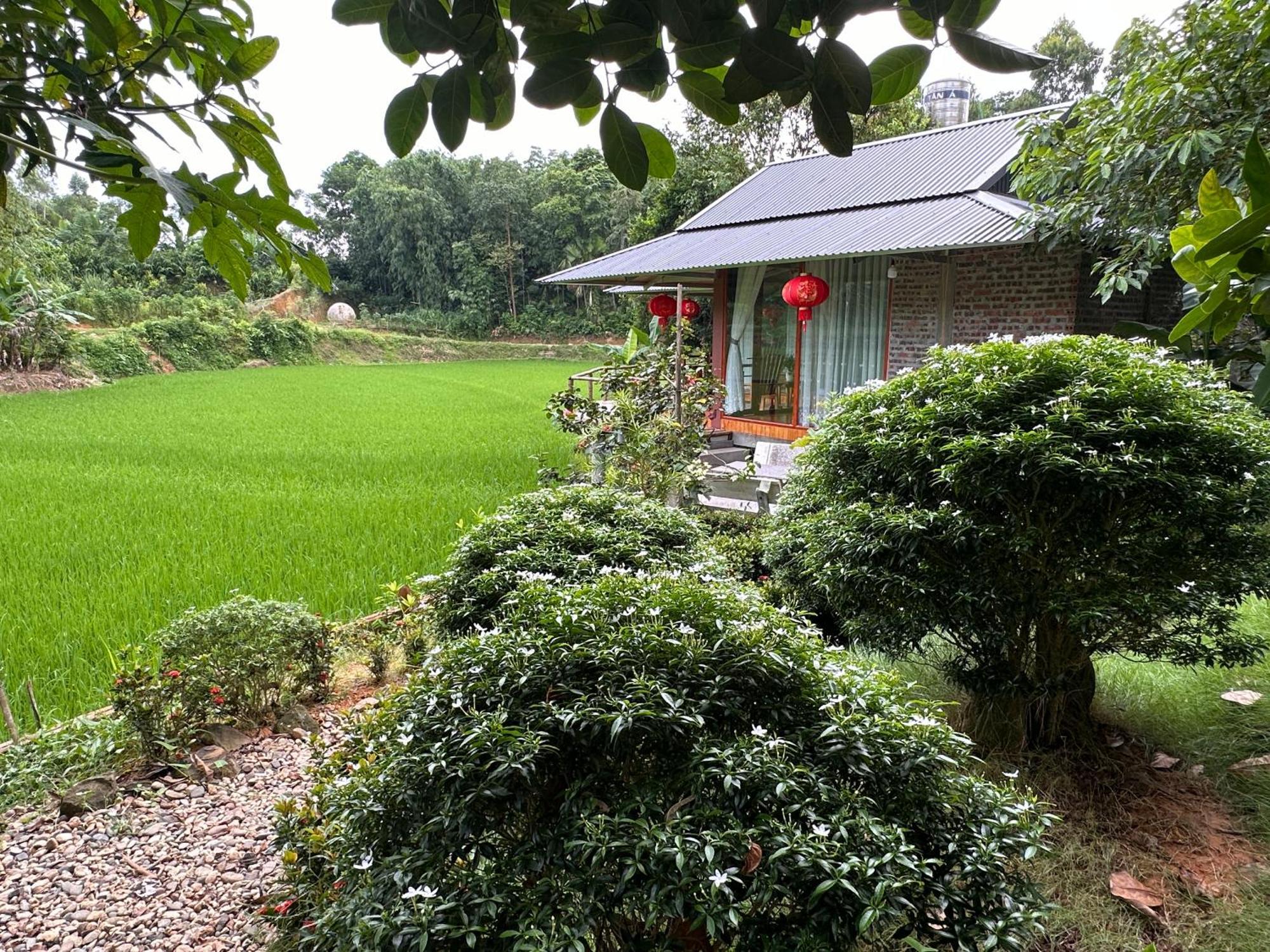 Vulinh Family -Homestay Yen Binh Exterior photo