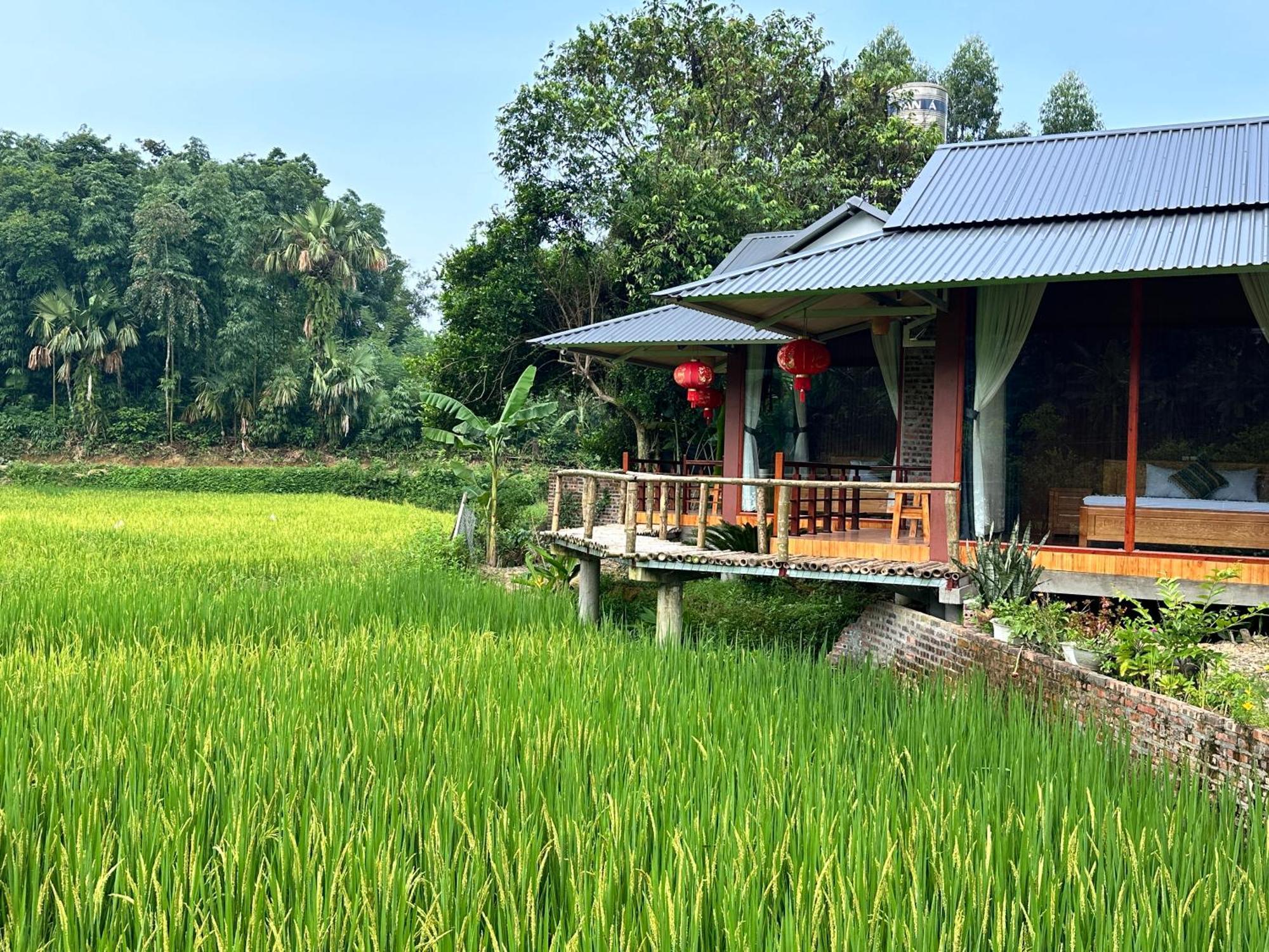 Vulinh Family -Homestay Yen Binh Exterior photo